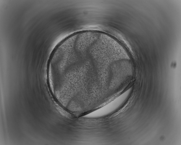 X0000099471328200805301547