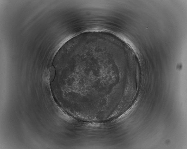 X0000099471329200805301547