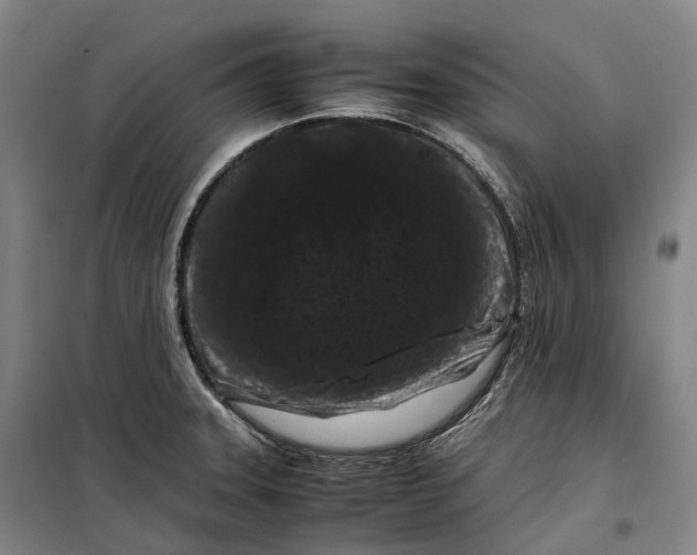 X0000099471331200805301547