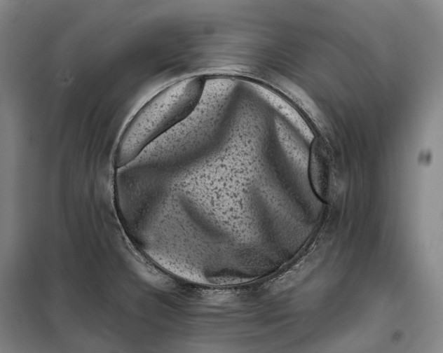 X0000099471332200805301547