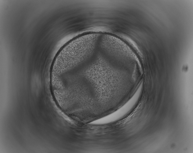 X0000099471335200805301548