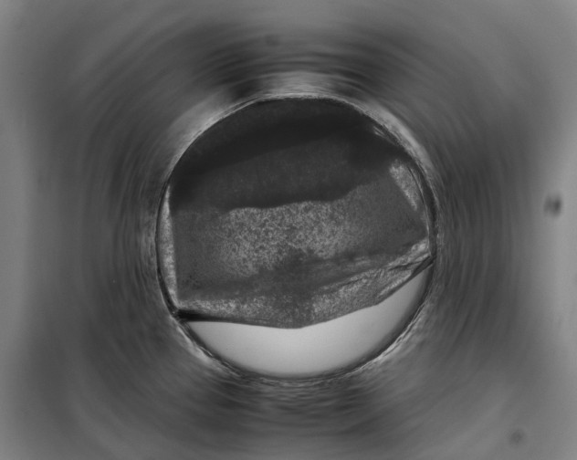 X0000099471337200805301548