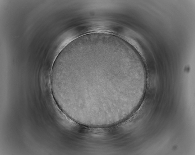 X0000099471338200805301548