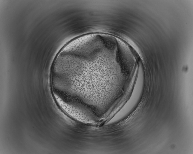 X0000099471339200805301548