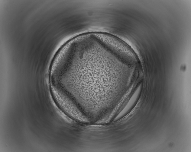 X0000099471342200805301548