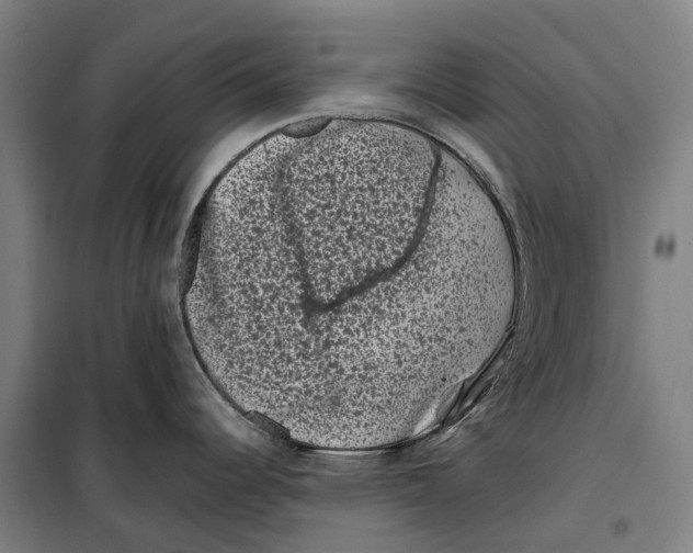 X0000099471344200805301548