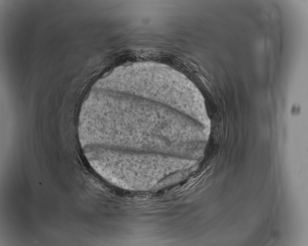 X0000099471345200805301547