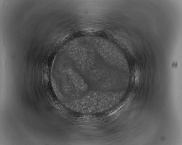 X0000099471346200805301547