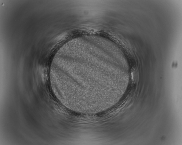 X0000099471347200805301547