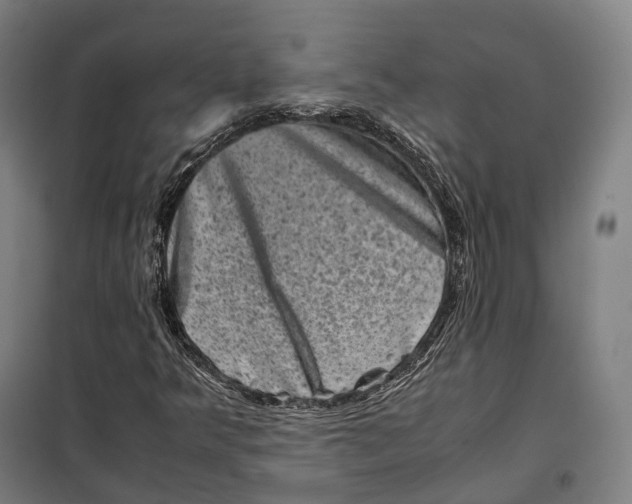 X0000099471349200805301547