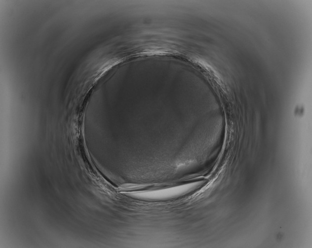 X0000099471353200805301547