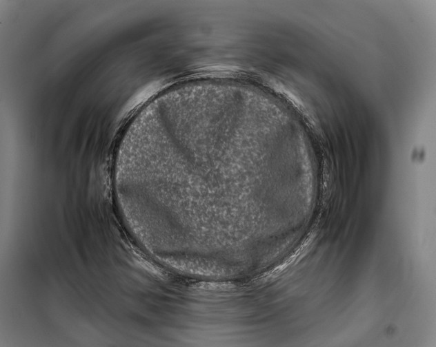 X0000099471354200805301547