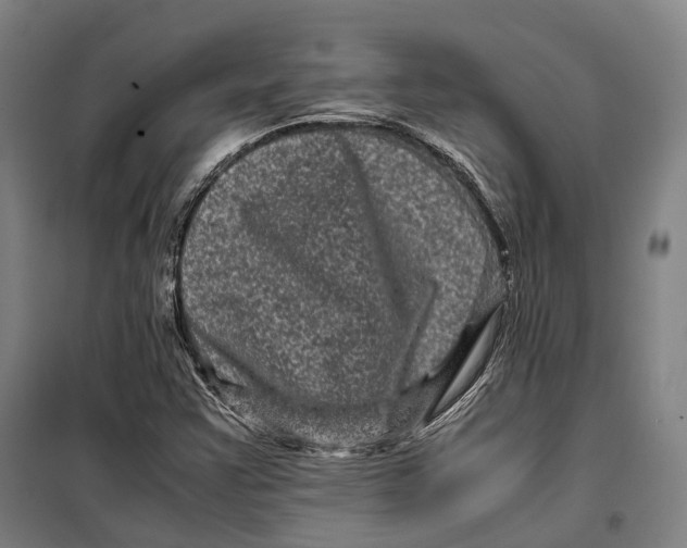 X0000099471355200805301547