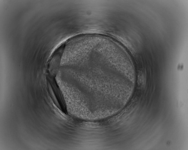 X0000099471356200805301547