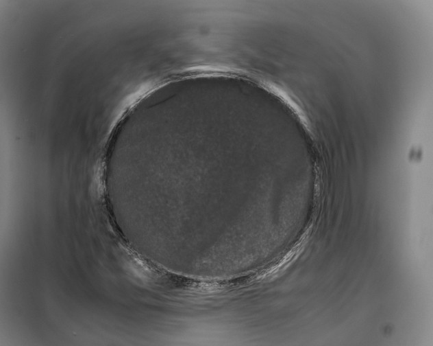 X0000099471357200805301547