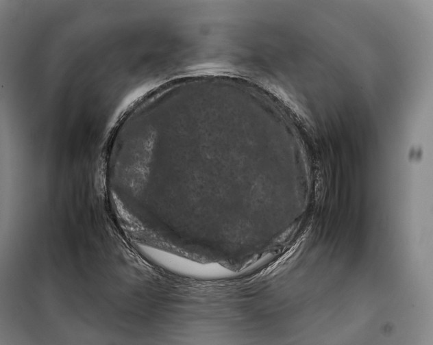 X0000099471358200805301547