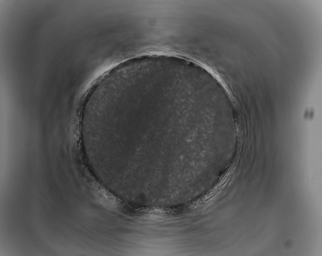 X0000099471359200805301547