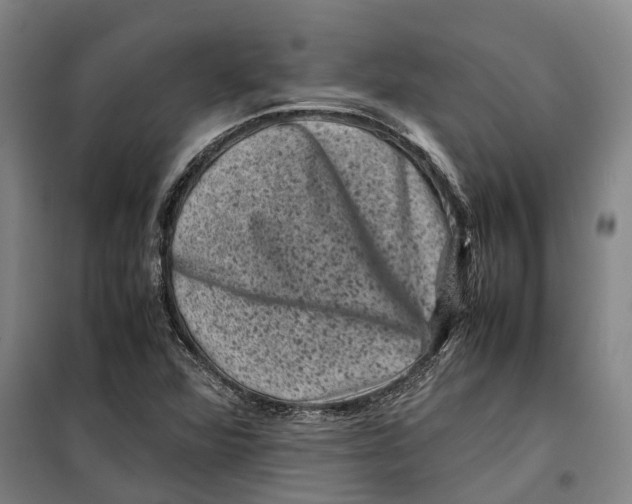 X0000099471360200805301547