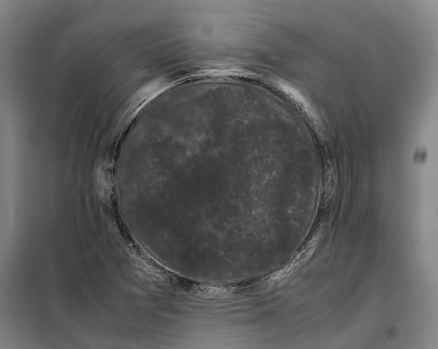 X0000099471361200805301547