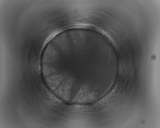 X0000099471362200805301547