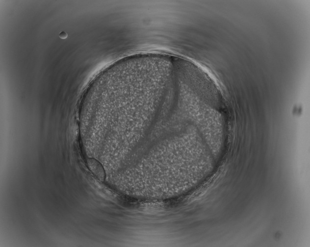 X0000099471363200805301547