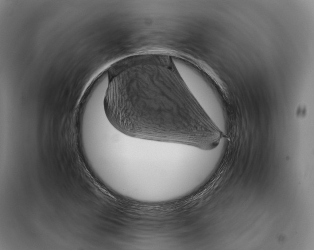 X0000099471364200805301547