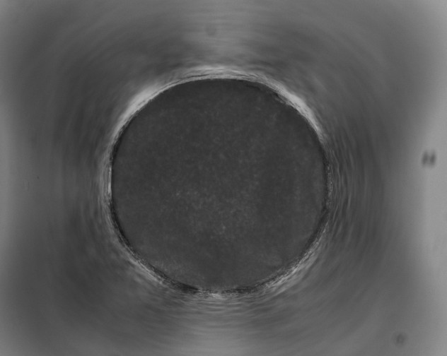 X0000099471365200805301547