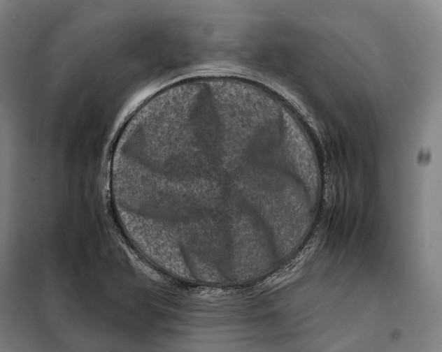 X0000099471366200805301547