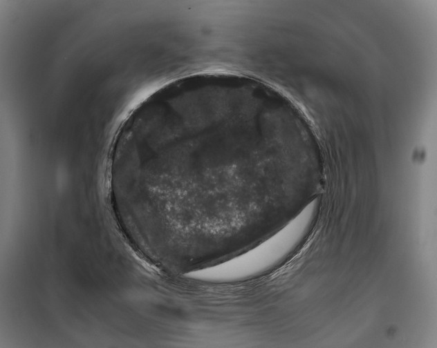 X0000099471367200805301547