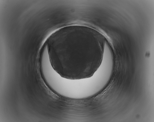 X0000099471368200805301547