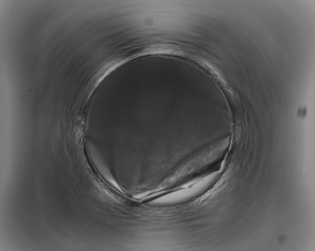 X0000099471369200805301547