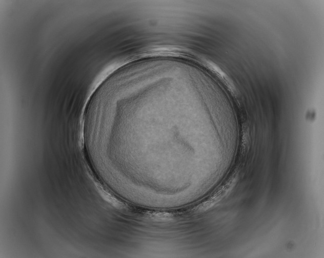 X0000099471370200805301547