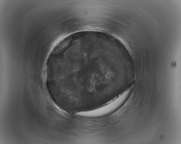 X0000099471371200805301547