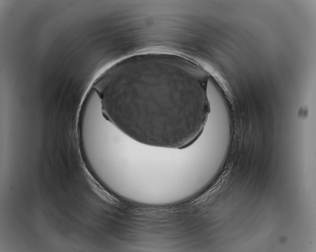 X0000099471372200805301547