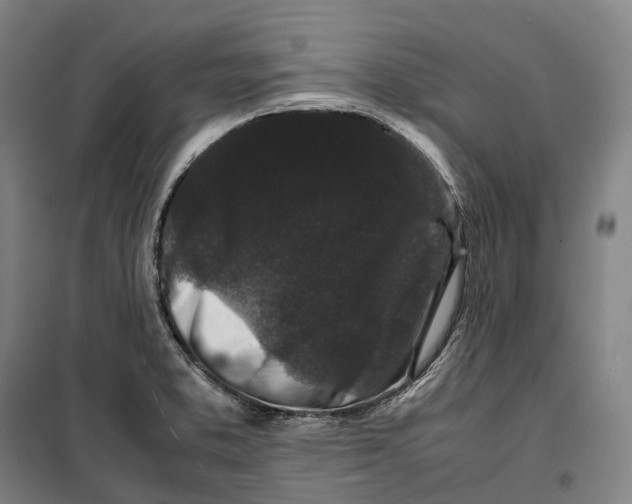 X0000099471373200805301546