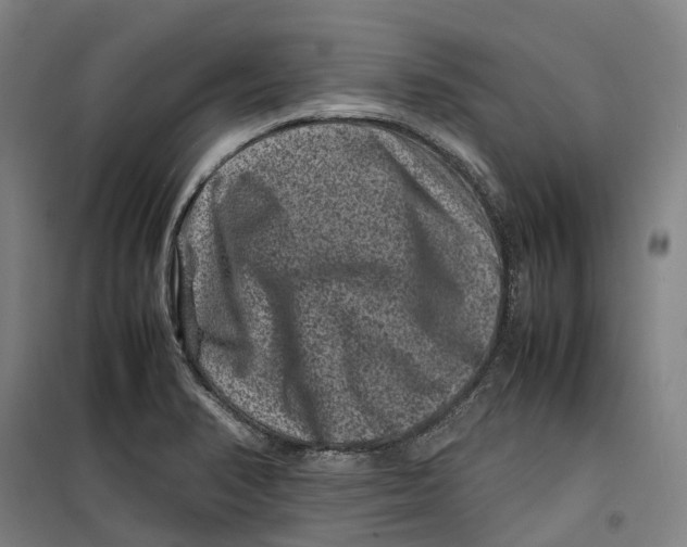 X0000099471374200805301546