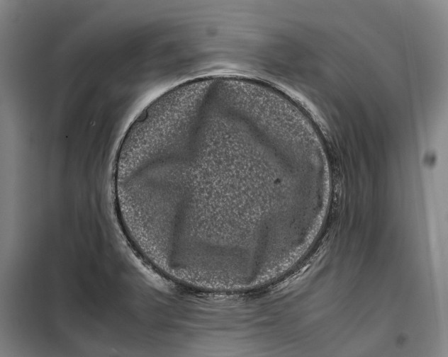 X0000099471375200805301546