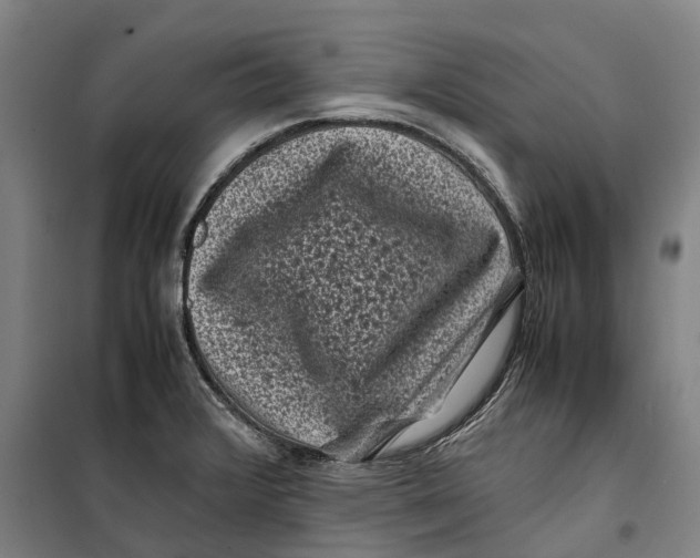 X0000099471376200805301546