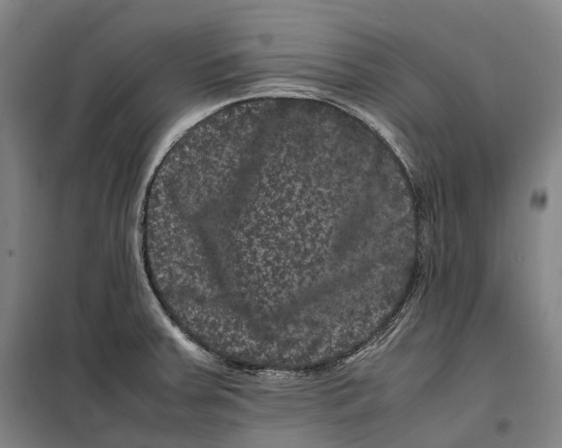 X0000099471379200805301546