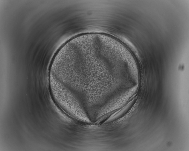 X0000099471380200805301546