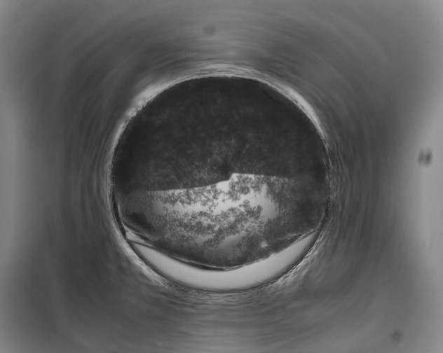 X0000099471381200805301546