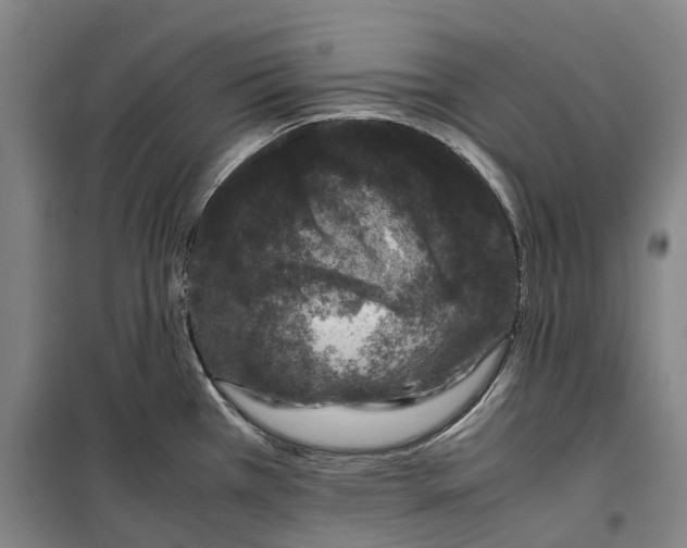 X0000099471385200805301546