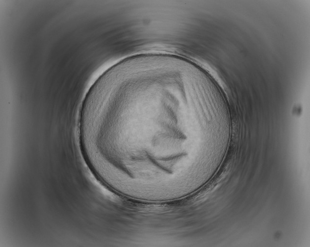 X0000099471387200805301546