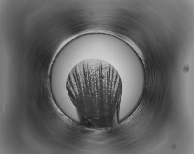 X0000099471388200805301546