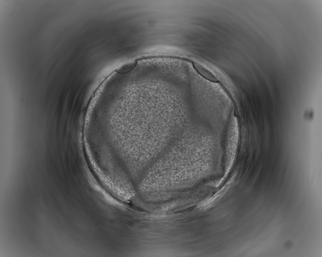 X0000099471390200805301546