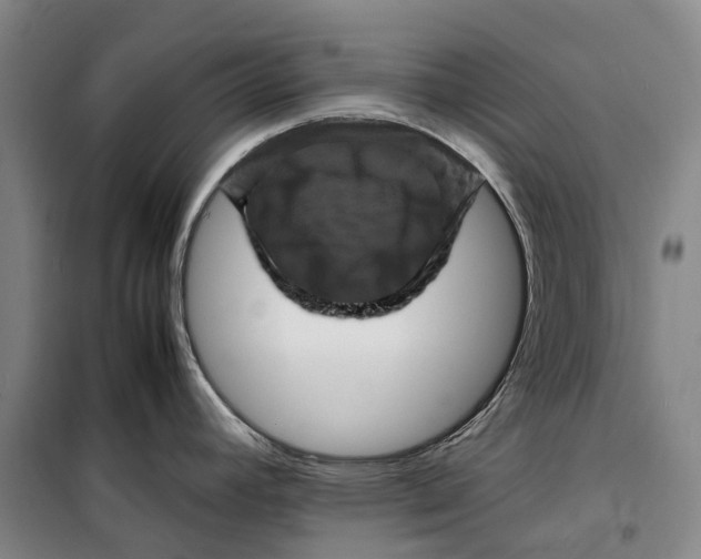 X0000099471392200805301546