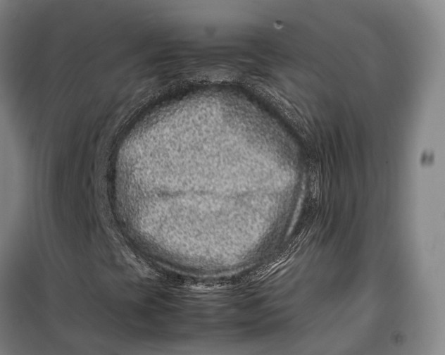 X0000099471393200805301545