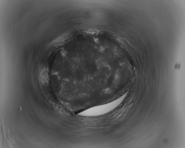 X0000099471394200805301545