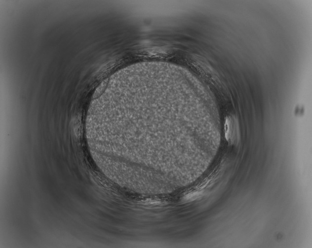 X0000099471395200805301546