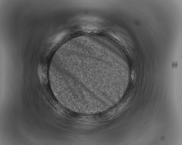 X0000099471396200805301546